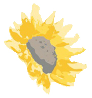 sunflower up